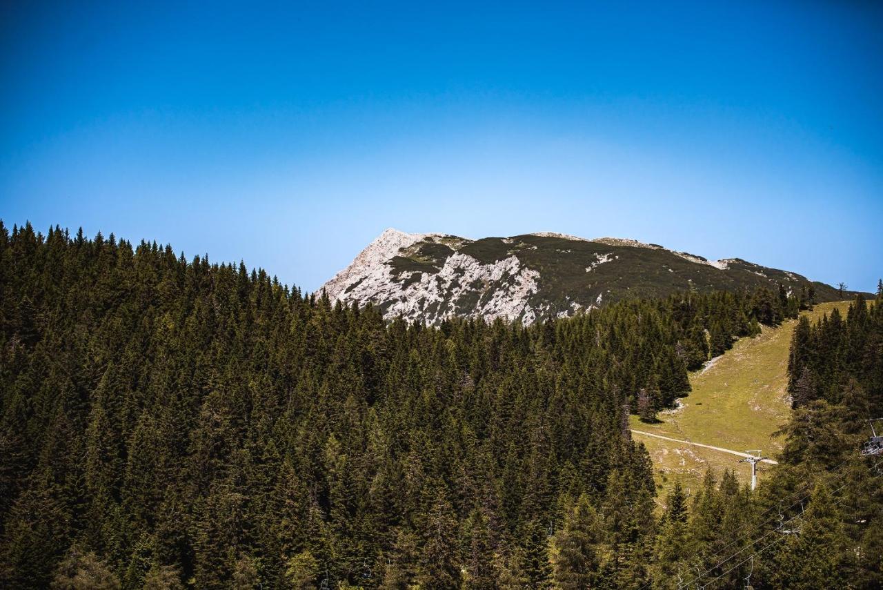 צרקליה נה גורניסקם Apartments Zvoh, Krvavec, Ski-In, Ski-Out מראה חיצוני תמונה